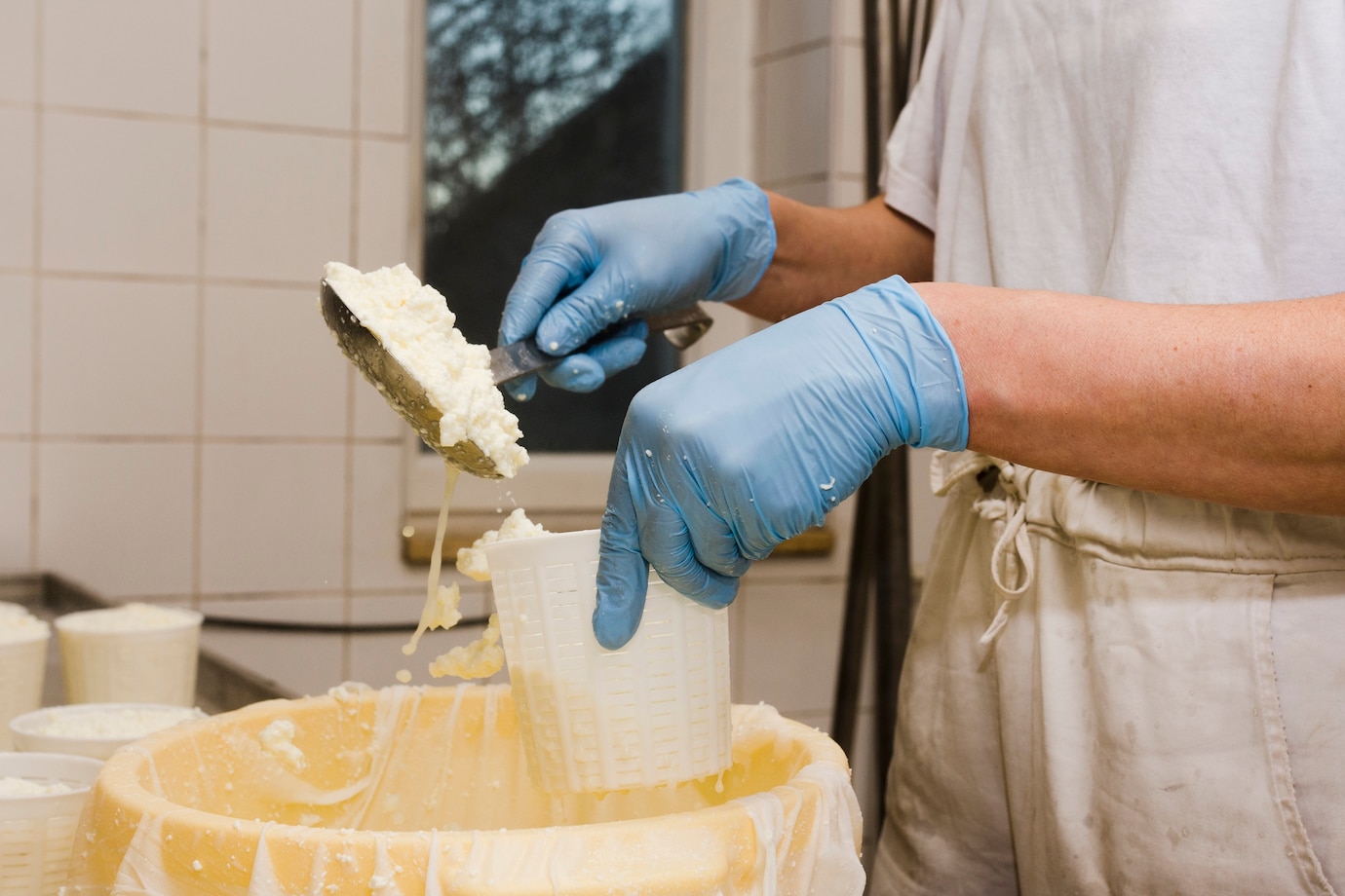 ADDETTO ALLE LAVORAZIONI LATTIERO - CASEARIE