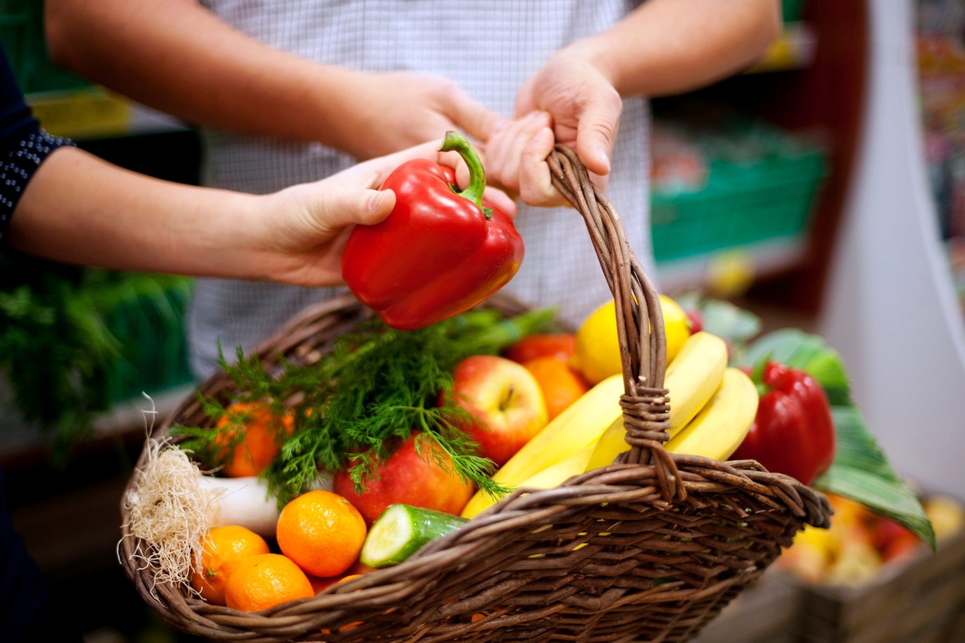OPERATORE ALLA TRASFORMAZIONE DI FRUTTA E ORTAGGI